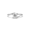 angelic shine ring